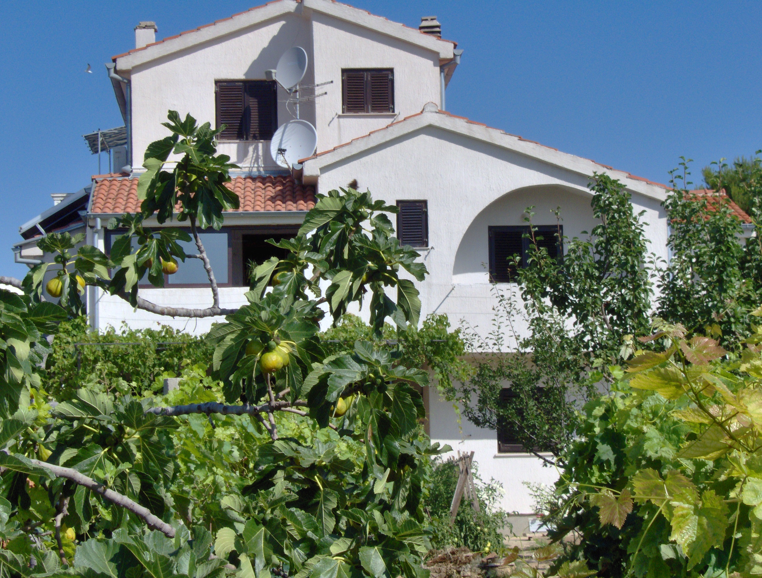 Kroatien appartement und Ferienwohnung, Apartments and private accommodation in Tribunj - Vodice - Croatia, appartamenti, Ferienhaus